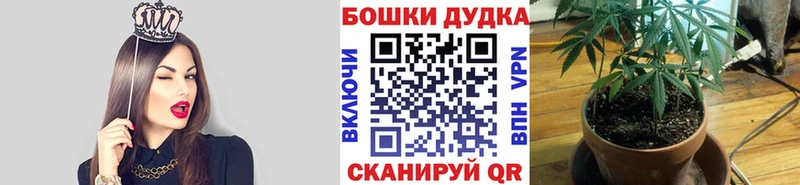 Наркошоп купить Псилоцибиновые грибы Конопля Alpha PVP ГАШИШ Меф MDMA КОКАИН Кулебаки