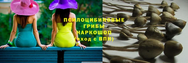 мескалин Ладушкин