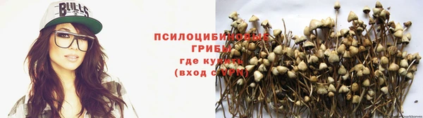 мескалин Ладушкин
