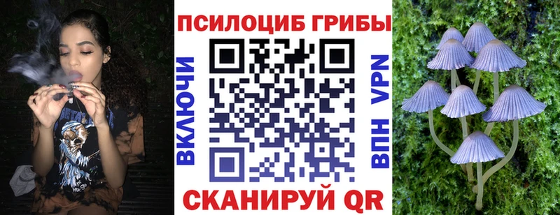 Купить  Кулебаки  Галлюциногенные грибы мицелий 